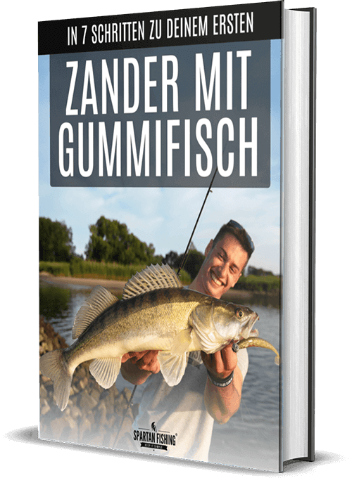 Zander mit Gummifisch Ebook