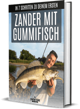 Zander mit Gummifisch Ebook