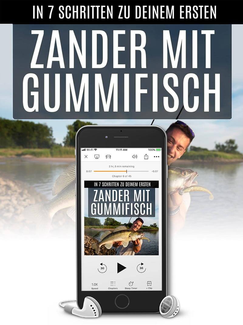 Zander mit Gummifisch Hörbuch + Checkliste